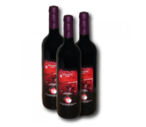 Gamay de Bovernier Moi pour Toit