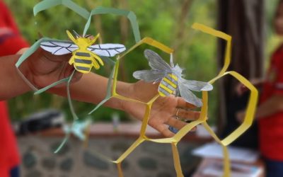 Atelier d’apiculture : une immersion au cœur du monde des abeilles