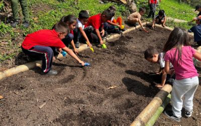 Atelier de jardinage : à la découverte des arômes inspirants à la Finca
