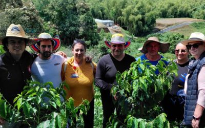 Visite de terrain et formations autour de la culture du café