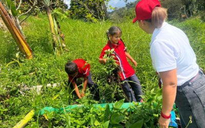 Les mains dans la terre : atelier semis à la Finca