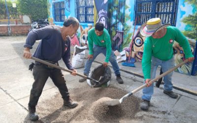 La récolte de café bat son plein à la finca ☕🌱