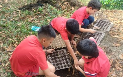 Nos enfants apprennent à planter des graines